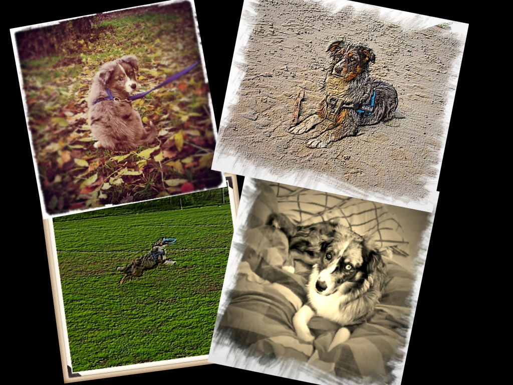 Joy Collage.001