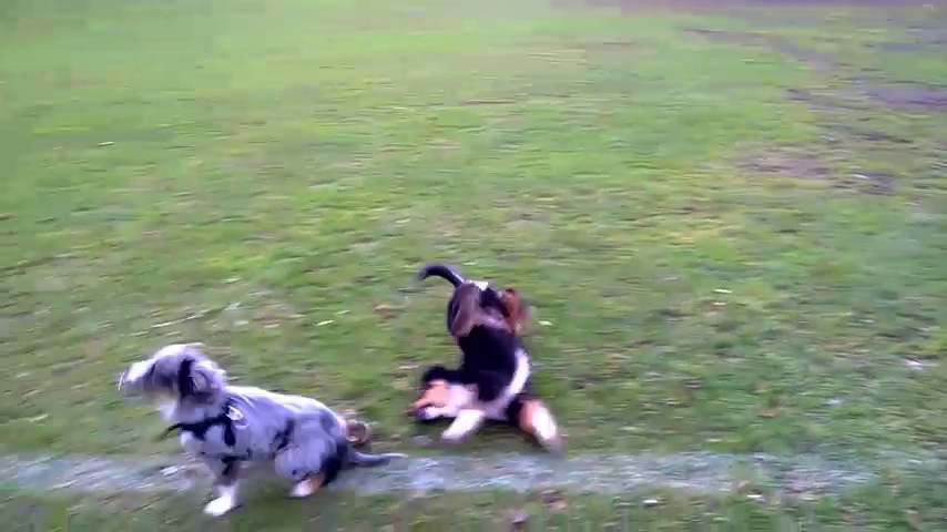 Spielen mit Sky