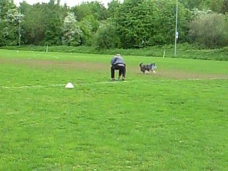 Frisbee 24.5.13