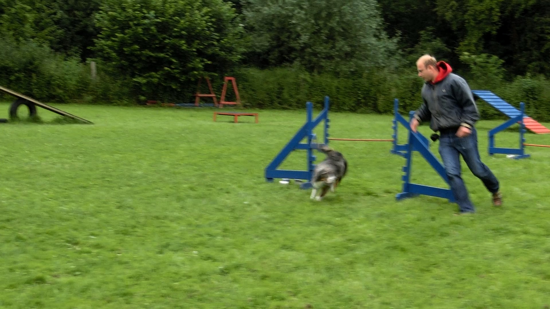 Hundeschule 30.6.13