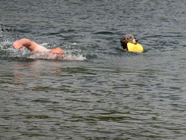 Loading Image
