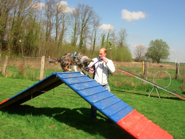 Loading Image