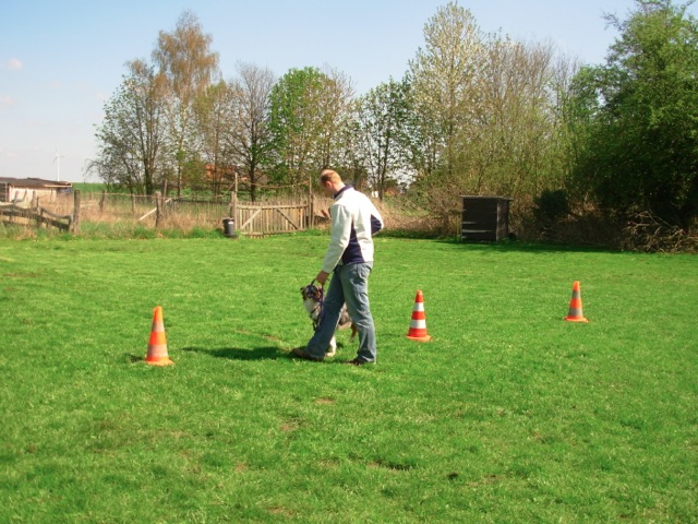 Loading Image