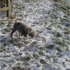 schnee2