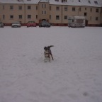 DSCN0785