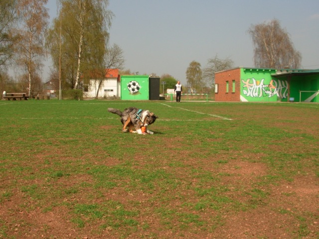 Loading Image