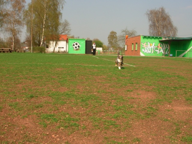Loading Image