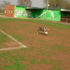 DSCN0950