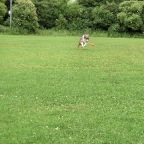 CIMG0140