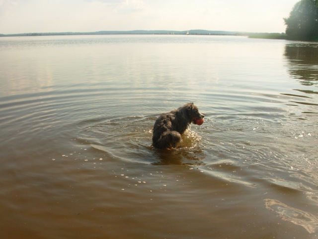 Loading Image