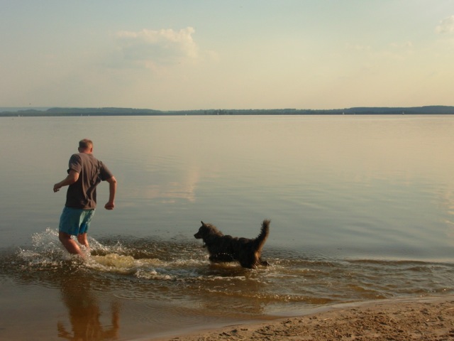 Loading Image