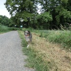 CIMG0687