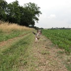 CIMG0710