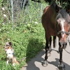 Bildschirmfoto 2013-08-04 um 16.38.13