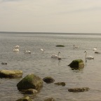 DSCN1031