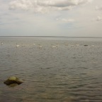 DSCN1048
